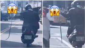 彰化,社頭人,徒手,抓蛇,騎車,超狂（圖／翻攝臉書社頭人俱樂部）