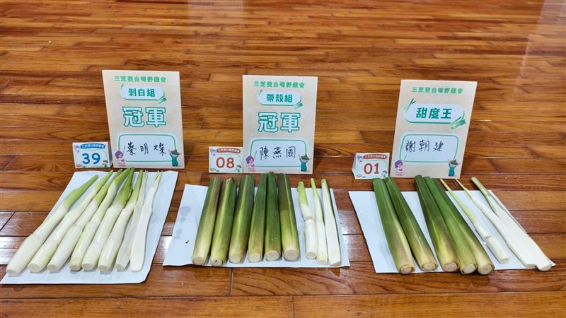 三芝區茭白筍評鑑會　展現三芝農友的韌性