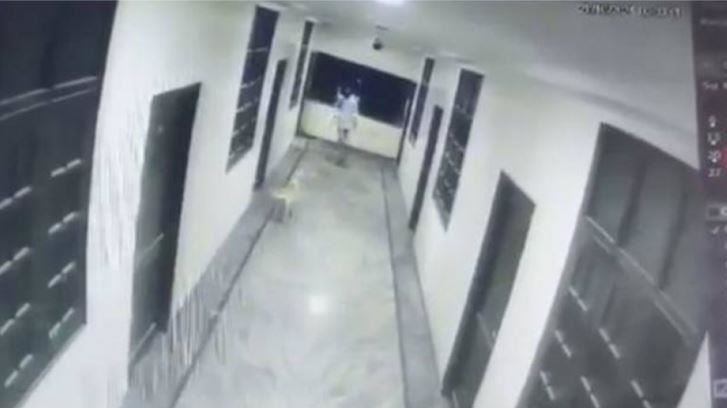飯店追狗迅速右轉！男大生衝出3樓重摔亡