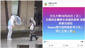 狂風,路樹,強風,學生,北北基宜,台北市,中國文化大學