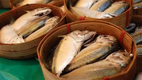 魚(圖翻攝自/pixabay)