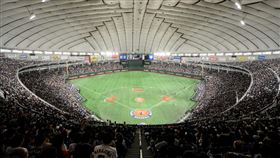 12強變16強！2027年世界棒球12強賽將擴大規模。（圖／翻攝自WBSC）