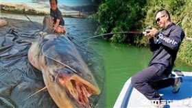 歐洲巨鯰（wels catfish；簡稱『歐鯰』）／Fishing Traveler 環球釣者授權提供；其他稿件麻煩勿用謝謝！其他稿件麻煩勿用謝謝！其他稿件麻煩勿用謝謝！