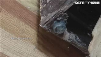 床板、衣櫥發霉！租客怒解約…拿不回租金