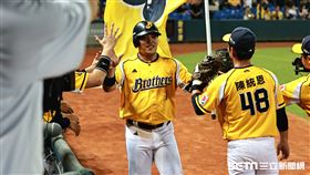 ▲中職35年台灣大賽G5，中信兄弟左外野手曾頌恩安打送回超前分陳子豪。（圖／記者劉彥池攝影）