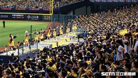 ▲中職35年台灣大賽G5，PS女孩帶領球迷應援。（圖／記者劉彥池攝影）