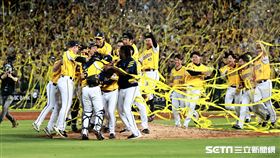 ▲中職35年台灣大賽G5，中信兄弟拿下總冠軍。（圖／記者劉彥池攝影）