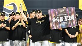 ▲中職35年中信兄弟拿下總冠軍，左外野手曾頌恩拿下最有價值球員。（圖／記者劉彥池攝影）