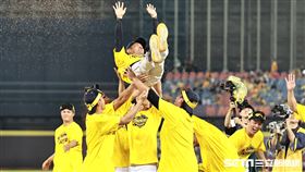 ▲中職35年中信兄弟拿下總冠軍，總教練平野惠一被球員拋向空中。（圖／記者劉彥池攝影）