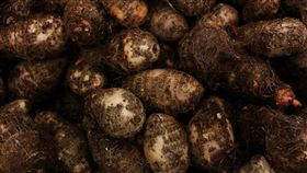 山藥（圖／翻攝自pixabay）