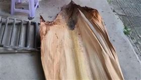 （圖／翻攝自騰訊網）