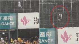 ▲2024年中華職棒冠軍賽25日在台中洲際棒球場畫下句點，卻有球迷在球場外的建案工地發現精彩花絮。（圖／翻攝●【爆廢公社二館】●）