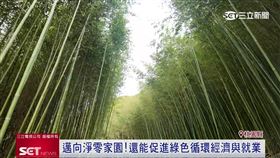 攜手球后戴資穎! 中華電信啟動竹林撫育計畫