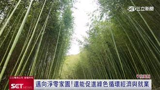 攜手戴資穎！中華電信啟動竹林撫育計畫