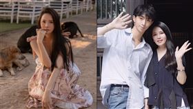 伊能靜 小哈利（合成圖／翻攝自伊能靜微博、小紅書）