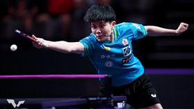 台灣桌球一姐鄭怡靜。（圖／取自WTT官網）