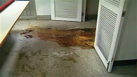 碩士閨密同愛渣男　揭王水溶屍案關鍵證據