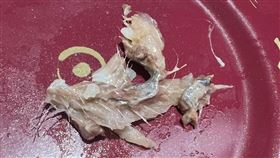 點了一盤沙丁魚握壽司，卻吃了滿嘴魚刺，民眾疑惑吃的是壽司還是廟會法器？（圖／翻攝自記者爆料網）