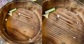 ▲民眾在用餐時，發現菜盤上有幾粒黑色顆粒。（圖／翻攝臉書　爆料公社）


