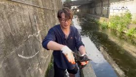 救貓咬一.手1200