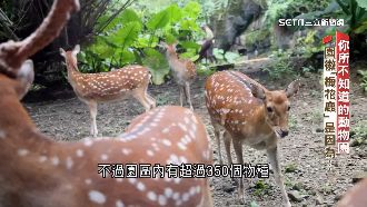 影／揭動物收容中心　繁殖技術全球首例