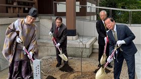 ▲台灣昭和櫻返鄉！植根大阪護國神社　10大巨頭共襄盛舉（圖／記者許晶晶攝影）
