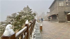 宜蘭太平山未再降雪  仍有霧淞景致入冬最強寒流襲台，太平山國家森林遊樂區24日雖沒有下雪，但樹枝仍有霧淞景致，園區有不少遊客先前堆的雪人。（農業部林業及自然保育署宜蘭分署提供）中央社記者沈如峰宜蘭縣傳真  113年1月24日