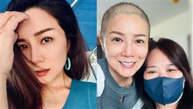 吳文忻（左）。（圖／翻攝自IG）