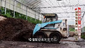 文 (深一度)動物園綠金1900