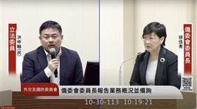 洪申翰質詢僑委會委員長徐佳青。（圖／翻攝自國會頻道）