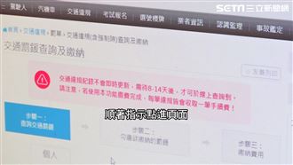 獨／郵件收交通罰單未繳　小心上當被盜刷