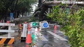車道,號誌,台北市,士林,內湖,康芮,颱風