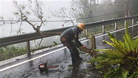 強風豪雨致宜蘭地區大樹傾倒阻礙交通，台電同仁徒步巡視搶修。（圖／台電提供）