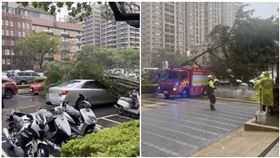 三峽路樹壓水箱車（圖／翻攝自Threads@yun.7177_）