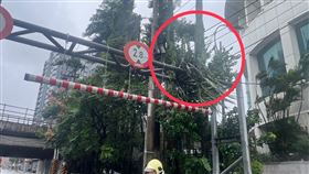 警消評估後，發現該處並無火災疑慮，後續將交由台電處置。（圖／翻攝畫面）