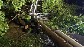 康芮颱風,颱風,倒塌.電線桿,騎士,