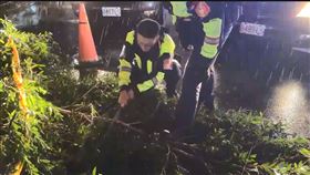 康芮颱風,救災,警方,鋸樹