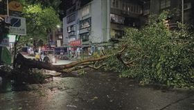 康芮颱風,倒塌,強風豪雨,路樹,鐵皮屋,上班,上課