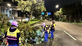 堤頂大道沿線路樹倒塌21處　員警連夜鋸樹移除開路　圖／翻攝畫面