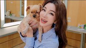 陳美鳳颱風天待在家中。（圖／翻攝自陳美鳳臉書）