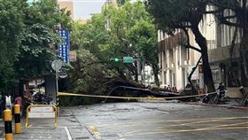 立法院附近路樹倒塌災情。(圖/翻攝自洪孟楷臉書)
