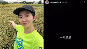 謝忻住家因為颱風停電。（圖／翻攝自謝忻IG）