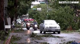 ▲康芮颱風造成雙北路樹倒塌嚴重，影響1日上午上班交通