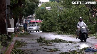 台北如「叢林越野賽」！網轟蔣：學學高雄