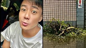 郭彥均出門看見滿目瘡痍的街道。（圖／翻攝自郭彥均臉書）