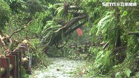 ▲受康芮颱風影響，烏來災損嚴重在1日時也停班停課