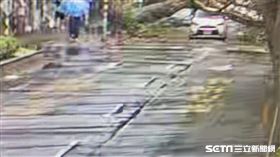 宋男駕駛多元計程車行經三民路停等紅燈時被路樹砸中。（圖／翻攝畫面）