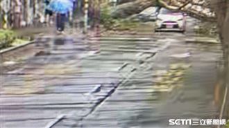 運將等紅燈遭路樹砸中　車被壓到底盤貼地