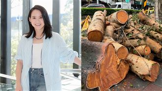 康芮肆虐　曾寶儀見「40年大樹倒塌」哭了