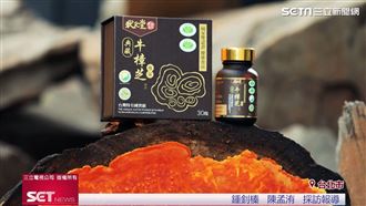 江宏恩強力推薦　狀元堂牛樟芝引領市場